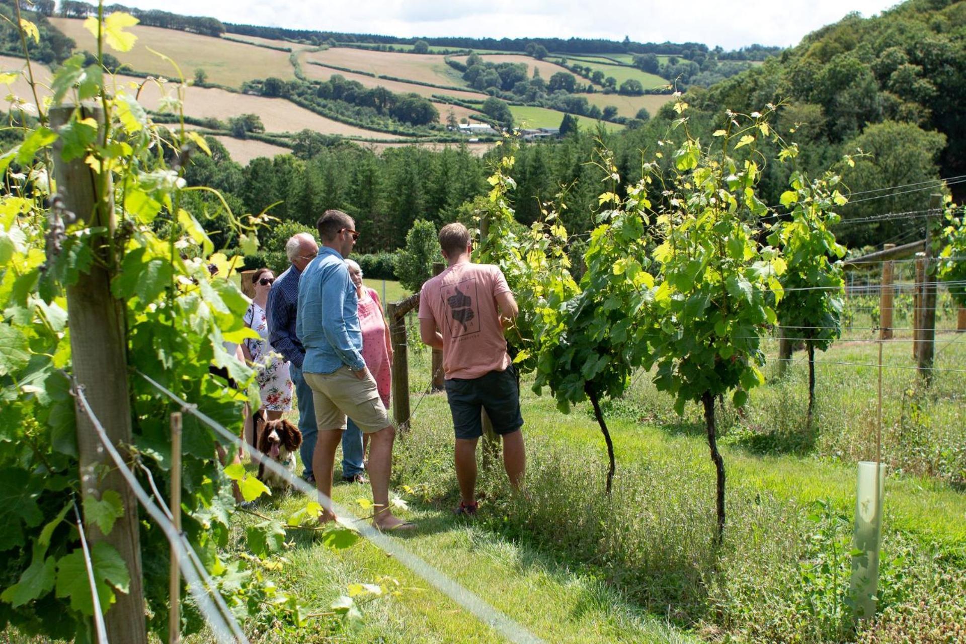 Couples Retreat In Beautiful West Devon Countryside Villa Broadwoodwidger Dış mekan fotoğraf