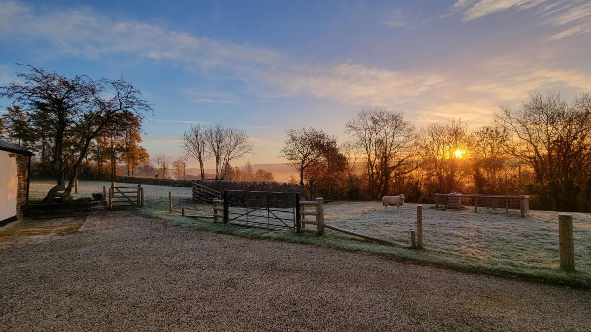 Couples Retreat In Beautiful West Devon Countryside Villa Broadwoodwidger Dış mekan fotoğraf
