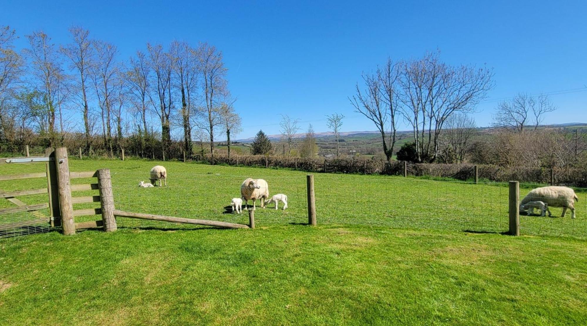 Couples Retreat In Beautiful West Devon Countryside Villa Broadwoodwidger Dış mekan fotoğraf